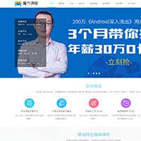 教育课程/职业培训源码网站 商业版